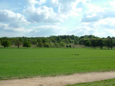 View of Park