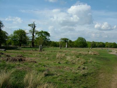 Another View of the Park