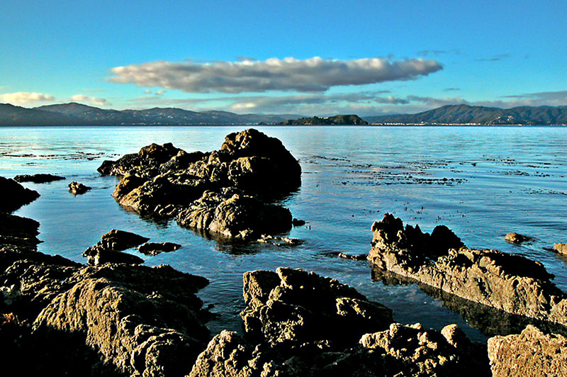 11 June 04 - Wellington Harbour