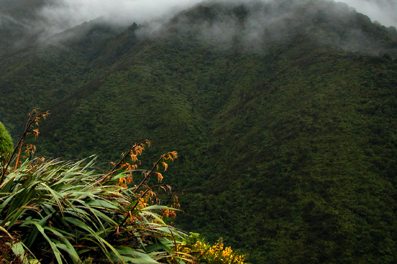 17 June 04 - Mist on the Hills