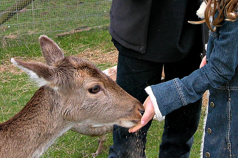 19 June 04 - Feeding Time