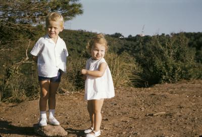 Image100.jpg