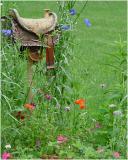 Rustic Birdhouse