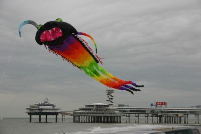Kite festival