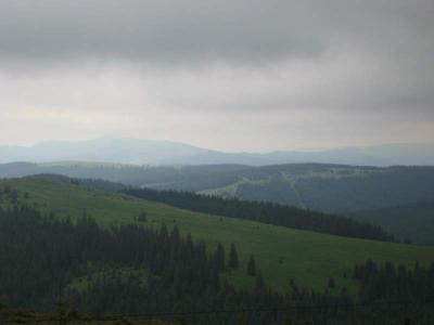 135-3599_IMG.JPG