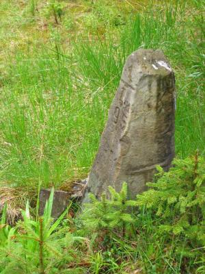 136-3612_IMG.JPG