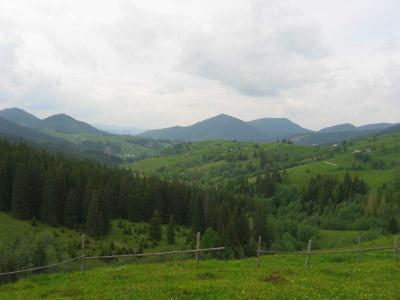 136-3626_IMG.JPG