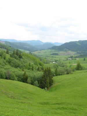 136-3627_IMG.JPG