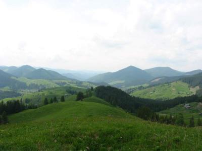 136-3631_IMG.JPG
