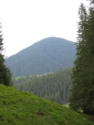136-3634_IMG.JPG