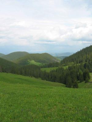 136-3636_IMG.JPG