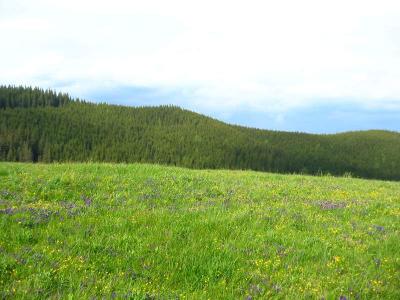 136-3638_IMG.JPG
