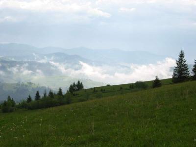 136-3662_IMG.JPG