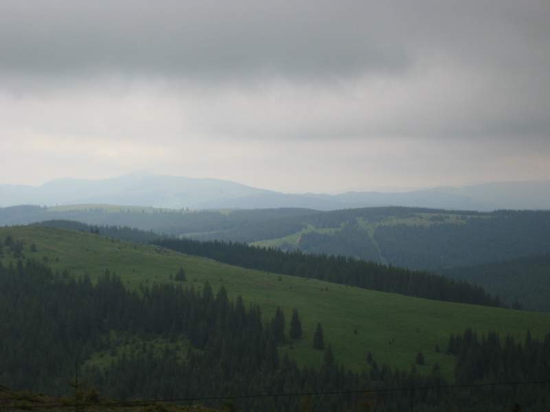 135-3599_IMG.JPG