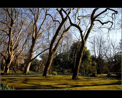 18.02.2005... Caldas da Rainha - City park