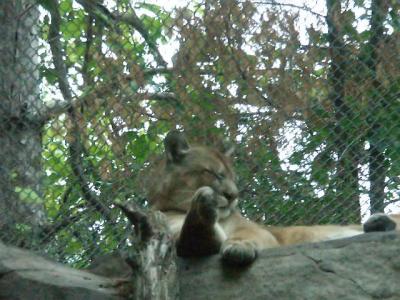 Minnesota Zoo