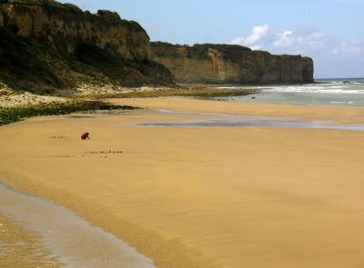 Beachcomber, Omaha Beach, St. Laurent, France, 2004