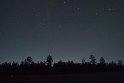 Winter Stars in Morning Twilight, Fredericksen's Meadow, AZ, 2004