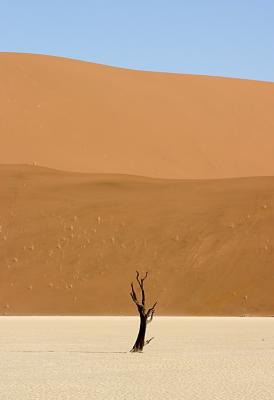 Dead Vlei, Namibia, 2004