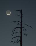 Setting Moon, Fredericksens Meadow, AZ, 2004