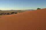 Dune Near SML