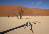 Dead Vlei