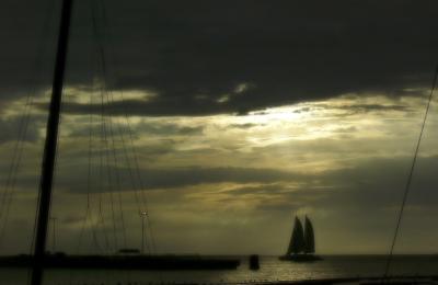04013119AA_web.jpg