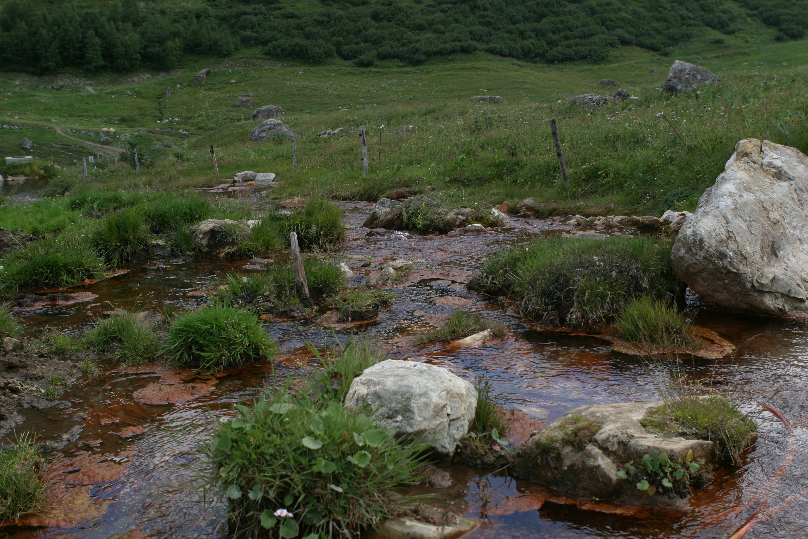 weird brownish river