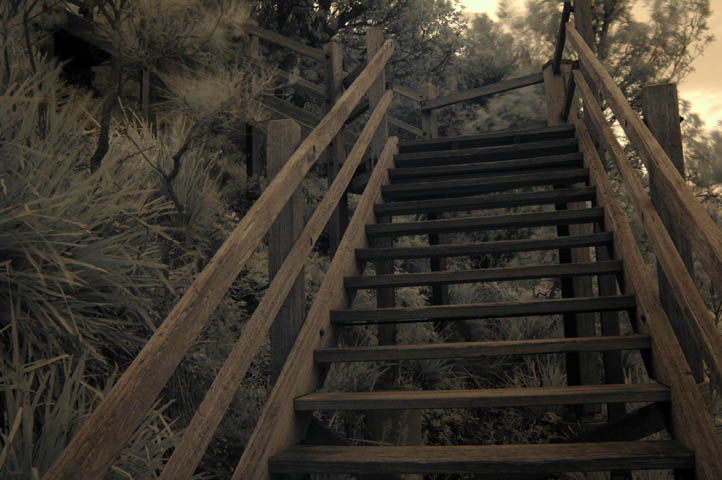 Steps to the lookout