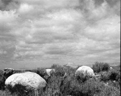 Medicine Bow NF.jpg