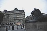 red_DSC0166.jpg