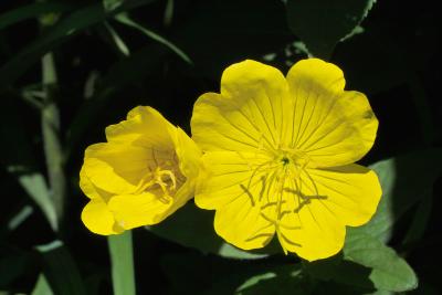 IMG02402.jpg