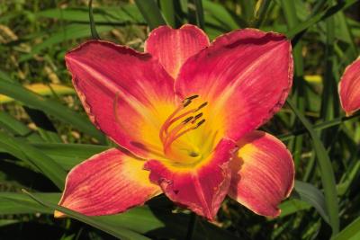 u47/pspader/medium/30607550.IMG02893.jpg