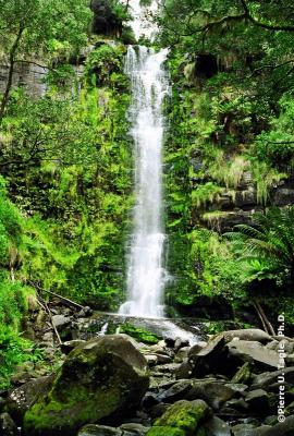 Erskine Falls, Victoria