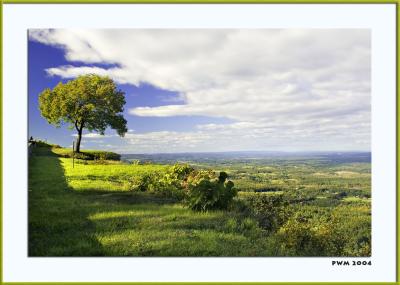 Looking North from Escarpment