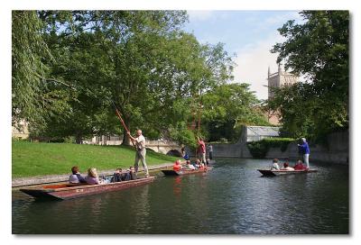 River Cam (Punting)