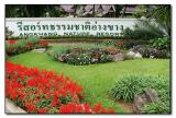 Doi Angkhang Nature Resort