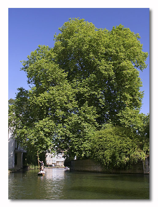 Cambridgeshire