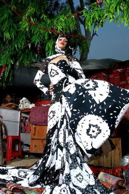 img_6458_std.jpg