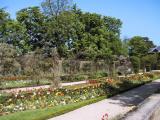 Parc de Bagatelle 2004-04-26