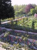 Giverny 2004-04-27