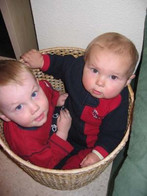 Luis and Oscar in toy basket