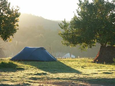 Tent at dawn at Los Naranjos