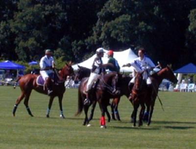 Polo4.JPG