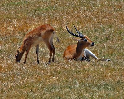 IMG_3478.jpg