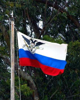 The flag