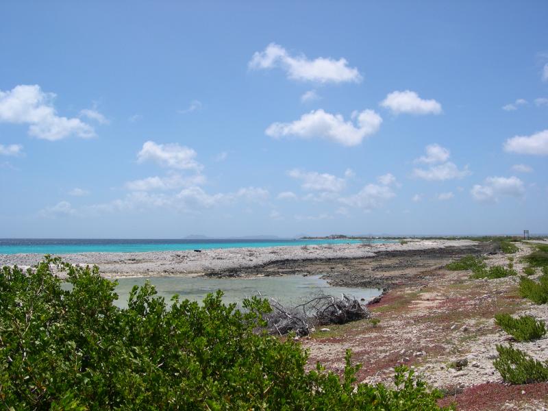 Southwestern coast of Bonaire