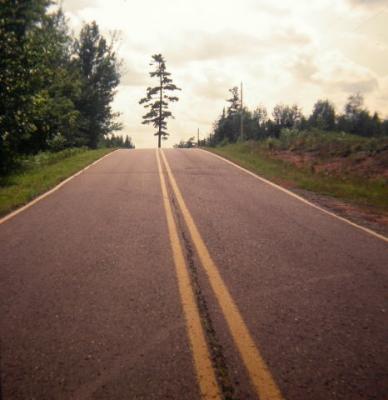 1977: Tree at the end of the Road (On the way to North Woods Scout Camp