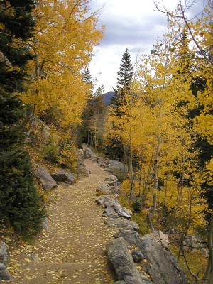 Emerald Lake Trail