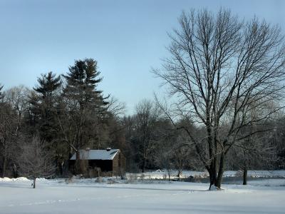 Cabin by the lake
